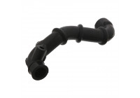 Hose, crankcase breather