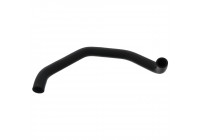 Hose, crankcase breather