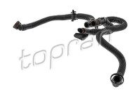 Hose, cylinder head breather