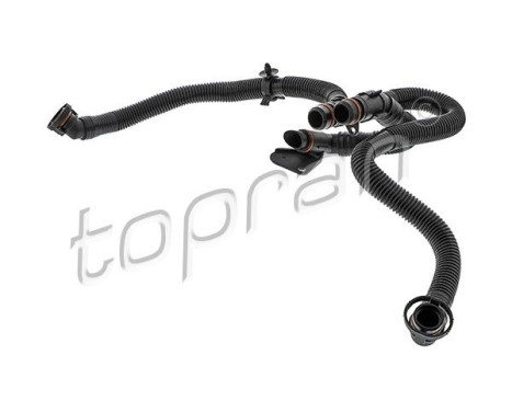 Hose, cylinder head breather