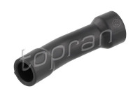 Hose, cylinder head breather