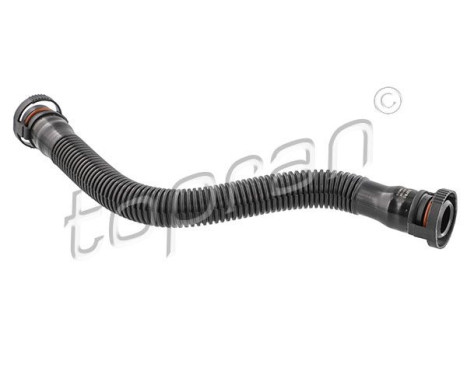 Hose, cylinder head breather