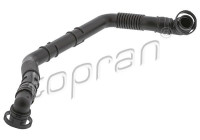 Hose, cylinder head breather