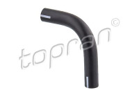 Hose, cylinder head breather