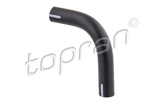 Hose, cylinder head breather