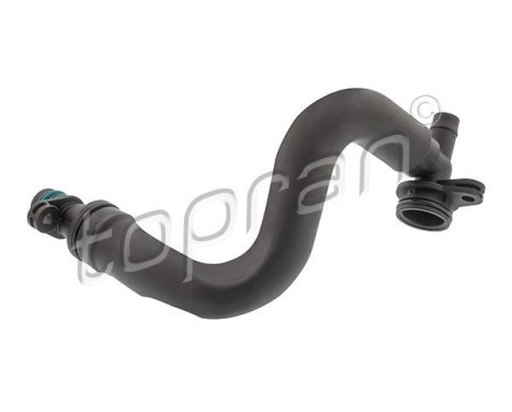 Hose, cylinder head breather