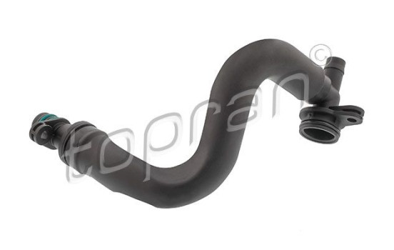 Hose, cylinder head breather