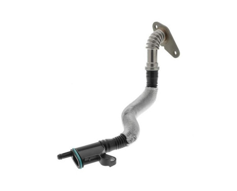 Hose, cylinder head breather