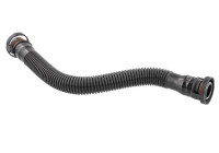Hose, cylinder head breather