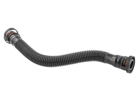 Hose, cylinder head breather