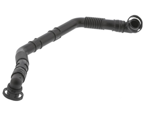 Hose, cylinder head breather