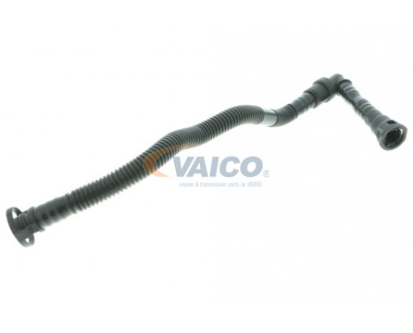 Hose, cylinder head cover breather Original VAICO Quality