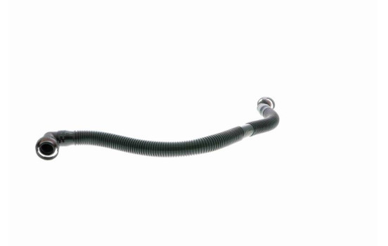 Hose, cylinder head cover breather Original VAICO Quality