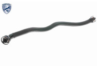 Hose, cylinder head cover breather Original VAICO Quality
