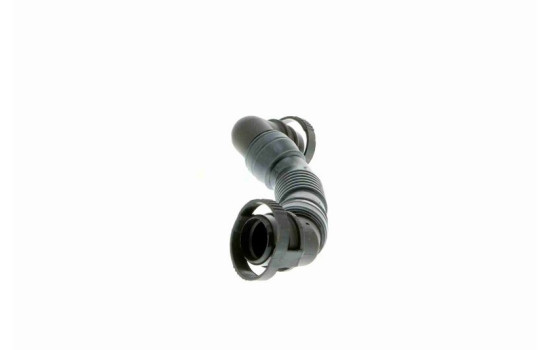 Hose, cylinder head cover breather Original VAICO Quality, Image 4