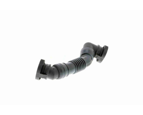 Hose, cylinder head cover breather Original VAICO Quality, Image 7