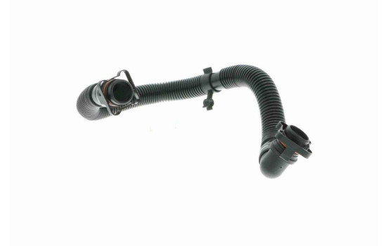 Hose, cylinder head cover breather Original VAICO Quality, Image 2
