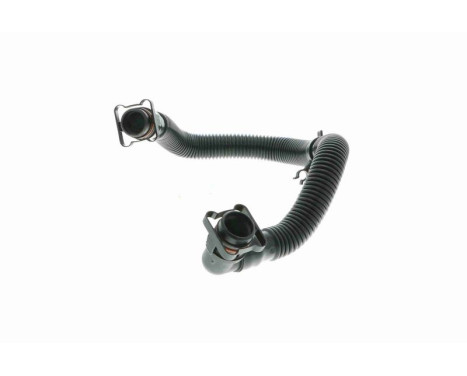 Hose, cylinder head cover breather Original VAICO Quality, Image 3