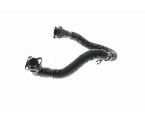 Hose, cylinder head cover breather Original VAICO Quality, Image 4