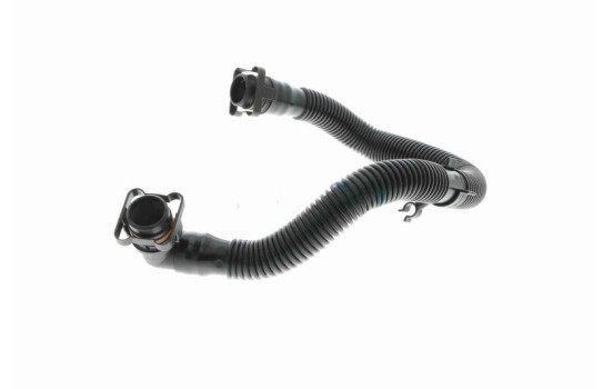 Hose, cylinder head cover breather Original VAICO Quality, Image 4