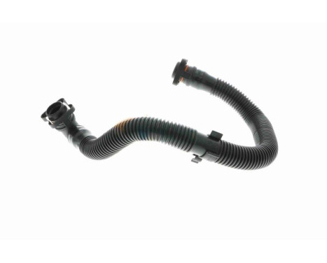 Hose, cylinder head cover breather Original VAICO Quality, Image 5