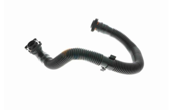 Hose, cylinder head cover breather Original VAICO Quality, Image 5