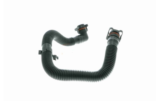 Hose, cylinder head cover breather Original VAICO Quality, Image 7