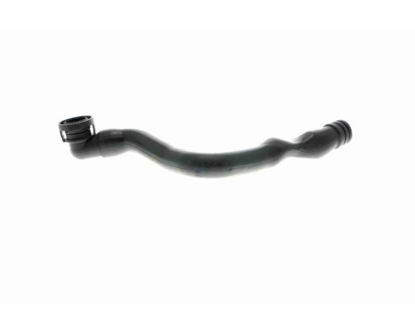 Hose, cylinder head cover breather Original VAICO Quality, Image 9