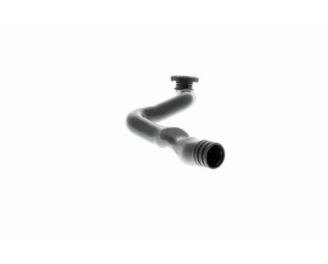 Hose, cylinder head cover breather Original VAICO Quality, Image 11