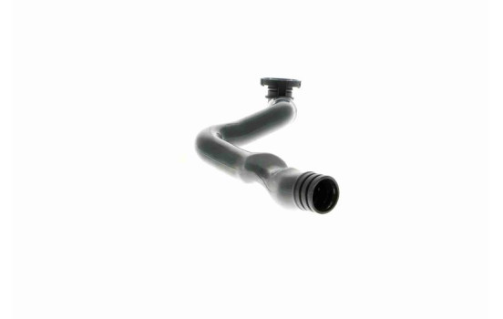 Hose, cylinder head cover breather Original VAICO Quality, Image 9