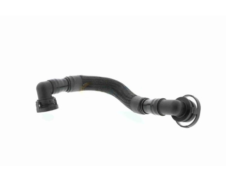 Hose, cylinder head cover breather Original VAICO Quality, Image 4