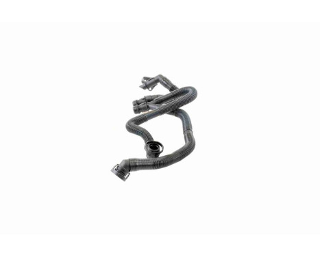 Hose, cylinder head cover breather Original VAICO Quality, Image 6