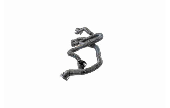 Hose, cylinder head cover breather Original VAICO Quality, Image 4