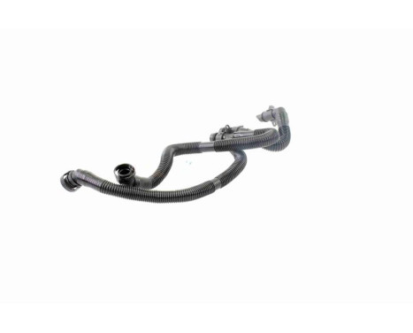Hose, cylinder head cover breather Original VAICO Quality, Image 7