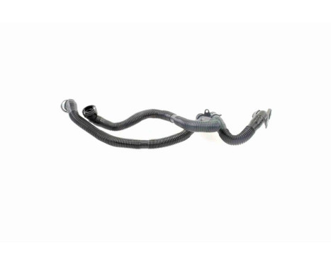 Hose, cylinder head cover breather Original VAICO Quality, Image 8