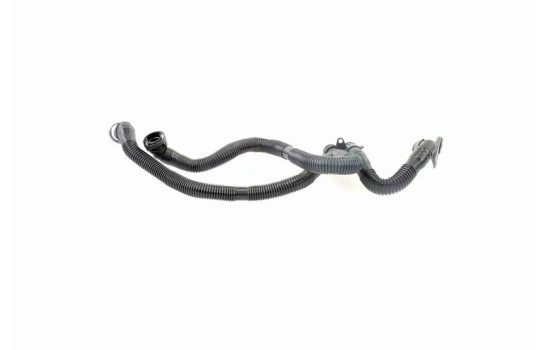 Hose, cylinder head cover breather Original VAICO Quality, Image 6