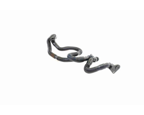Hose, cylinder head cover breather Original VAICO Quality, Image 9