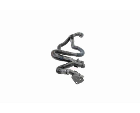 Hose, cylinder head cover breather Original VAICO Quality, Image 10