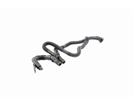 Hose, cylinder head cover breather Original VAICO Quality, Image 11
