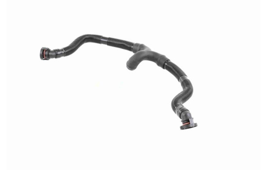 Hose, cylinder head cover breather Original VAICO Quality, Image 3