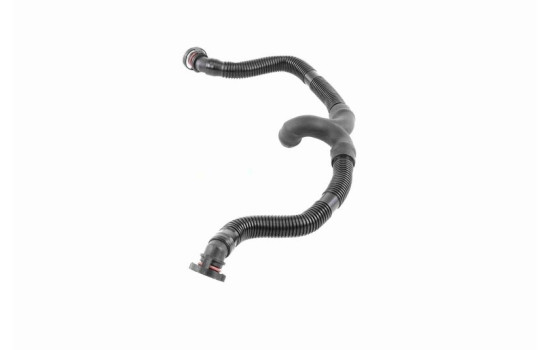 Hose, cylinder head cover breather Original VAICO Quality, Image 4