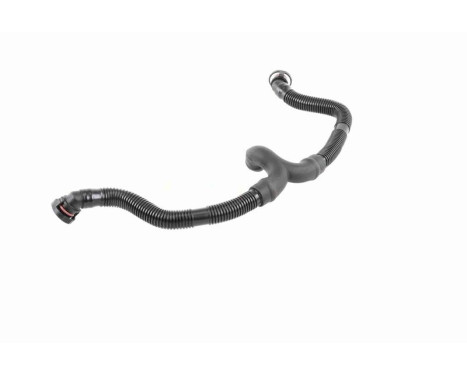Hose, cylinder head cover breather Original VAICO Quality, Image 7
