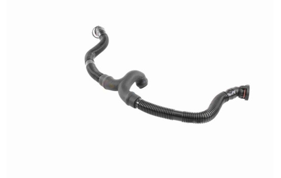 Hose, cylinder head cover breather Original VAICO Quality, Image 7