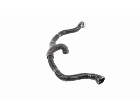Hose, cylinder head cover breather Original VAICO Quality, Image 10