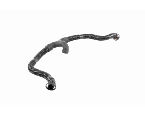 Hose, cylinder head cover breather Original VAICO Quality, Image 11