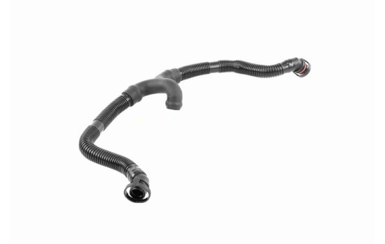 Hose, cylinder head cover breather Original VAICO Quality, Image 9