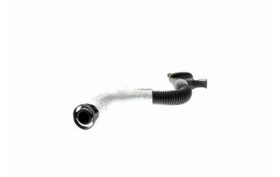 Hose, cylinder head cover breather Original VAICO Quality, Image 4