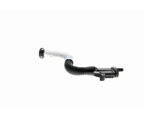 Hose, cylinder head cover breather Original VAICO Quality, Image 8