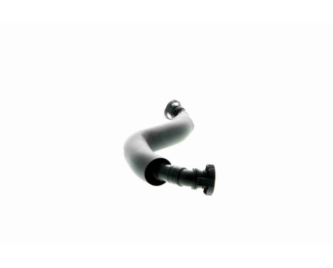 Hose, cylinder head cover breather Original VAICO Quality, Image 6
