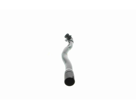 Hose, cylinder head cover breather Original VAICO Quality, Image 6